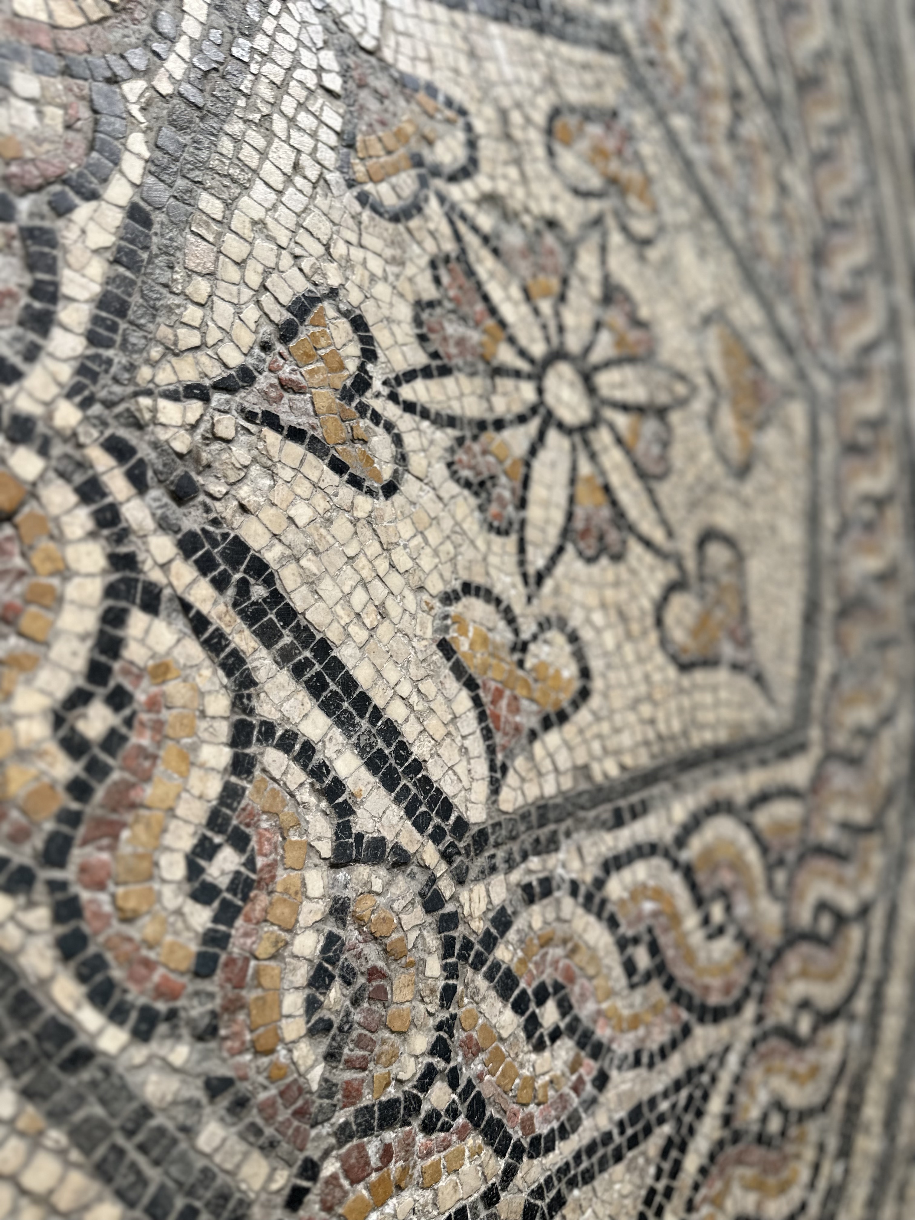 Roman Mosaic Detail, Musee De La Romanite, Nimes